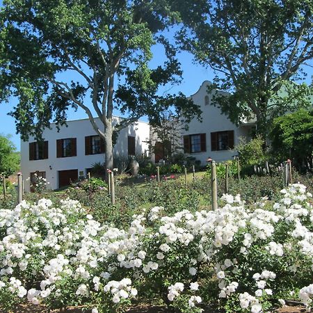 Villa Aan-Den-Weg Stellenbosch Exterior foto